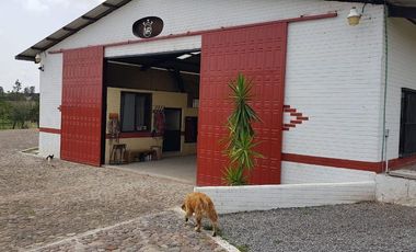VENTA RANCHOS HIDALGO 5 HAS NOPALA DE VILLAGRAN  AA