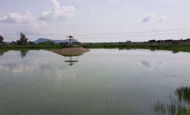 VENTA RANCHOS HIDALGO 5 HAS NOPALA DE VILLAGRAN  AA