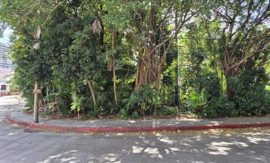 Terreno en venta en Sm. 2A, Cancún