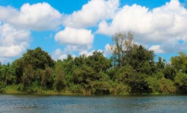 Lotes con vista al rio a la venta en Santiago de la Peña, Tuxpan.