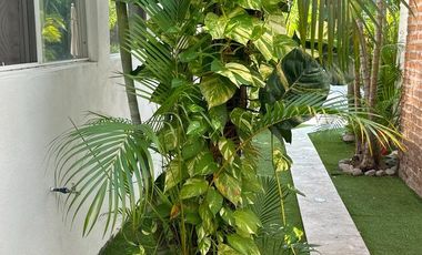 Departamento en venta Suites Flamingos, Puerto Vallarta