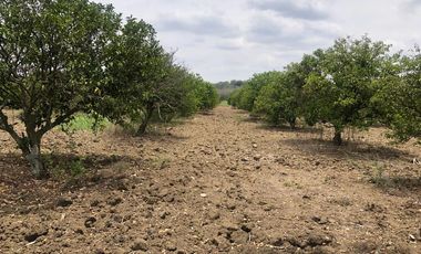 QUINTA cerca rio ramos EL FRAILE MONTEMORELOS VENTA