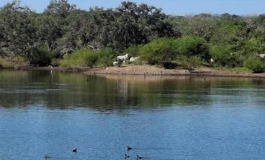 Rancho los Apaches en Venta en  Aldama Tamaulipas.