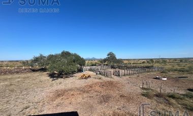 Rancho los Apaches en Venta en  Aldama Tamaulipas.