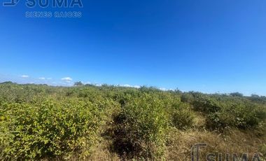 Rancho los Apaches en Venta en  Aldama Tamaulipas.