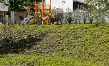 Casas en Renta en Castaños del Vergel