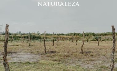 Venta Lote Barrio Cerrado La Finca - Funes