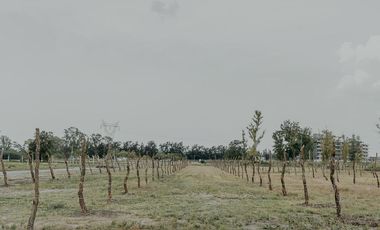 Venta Lote Barrio Cerrado La Finca - Funes