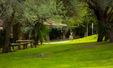 Terreno Campestre en VENTA en Edén Los Sabinos