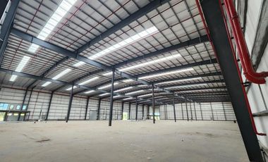 Depósito 5.400 m2 a estrenar -  spegazzini