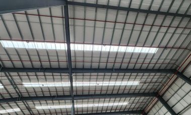 Depósito 5.400 m2 a estrenar -  spegazzini