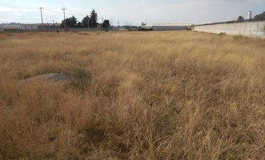 Terreno - Puebla de Zaragoza