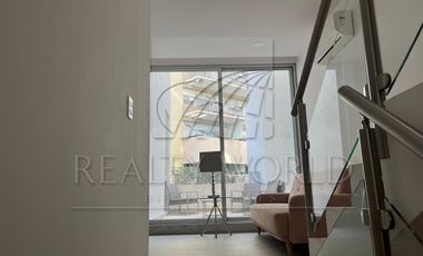 Casas en Renta en Nuevo Sur