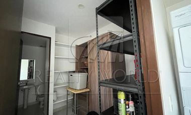 Casas en Renta en Nuevo Sur