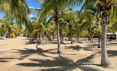 Terreno Comercial Hotelero Oportunidad Inversionista en Playa Blanca, Zihuatanejo, Guerrero