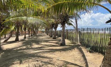 Terreno Comercial Hotelero Oportunidad Inversionista en Playa Blanca, Zihuatanejo, Guerrero