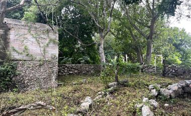 Casa en venta en Espita con amplio terreno