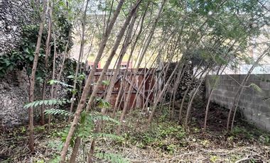 Casa en venta en Espita con amplio terreno