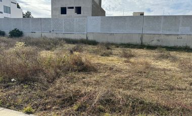 Terreno en Valle Imperial