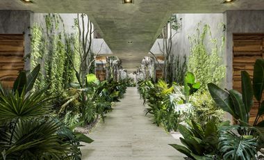 Departamento en Tulum