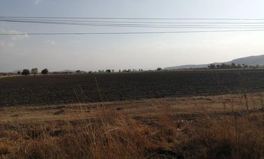 EXCELENTE TERRENO AGRICOLA EN EJIDO TEQUISQUIAPAN SUP. 6.5 HECTAREAS