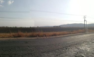 EXCELENTE TERRENO AGRICOLA EN EJIDO TEQUISQUIAPAN SUP. 6.5 HECTAREAS