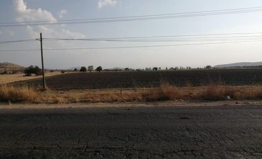 EXCELENTE TERRENO AGRICOLA EN EJIDO TEQUISQUIAPAN SUP. 6.5 HECTAREAS