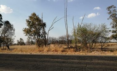 EXCELENTE TERRENO AGRICOLA EN EJIDO TEQUISQUIAPAN SUP. 6.5 HECTAREAS