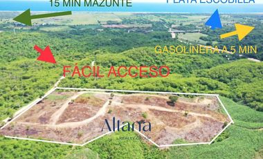 Terreno en  Lagartero