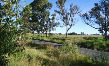 Terreno - Pueblo Santo Toribio Xicohtzingo