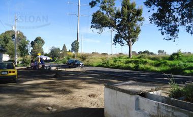 Terreno - Pueblo Santo Toribio Xicohtzingo