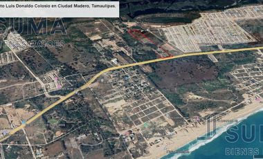 Terreno en Venta sobre Luis Donaldo Colosio, Madero Tamaulipas.