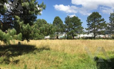 TERRENO INDUSTRIAL EN VENTA EN AGUA BLANCA, CAPULHUAC, ESTADO DE MEXICO