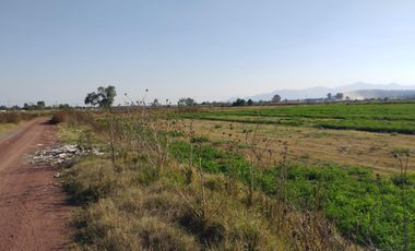 Terreno en Santa Ana Nextlalpan, Edo. Méx. Sup. 3 Hectáreas.