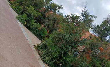 Venta Casa en Tulum | ¡Vive en la selva con comodidad total!