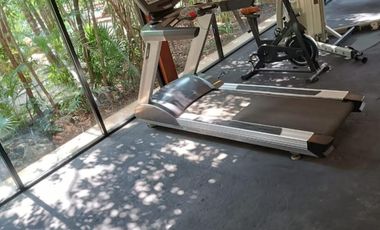 Venta Casa en Tulum | ¡Vive en la selva con comodidad total!