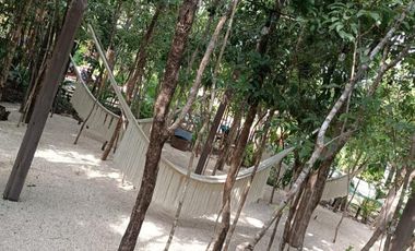 Venta Casa en Tulum | ¡Vive en la selva con comodidad total!