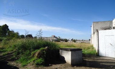 Terreno - Pueblo Santo Toribio Xicohtzingo