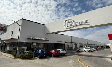 Locales Comerciales en Venta Plaza Las Cavas Aguascalientes