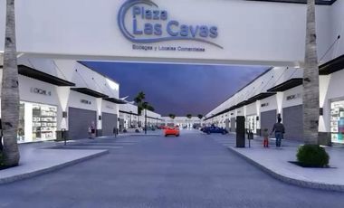 Locales Comerciales en Venta Plaza Las Cavas Aguascalientes