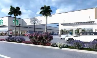 Locales Comerciales en Venta Plaza Las Cavas Aguascalientes