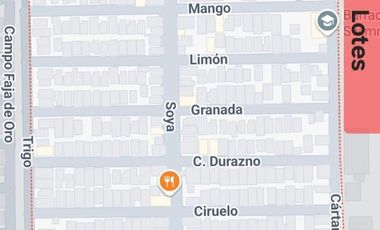 Terreno en Venta y Renta en Col. Simon Rivera, Madero Tamaulipas.