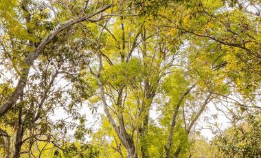 HOTEL EN VENTA EN MALINALCO