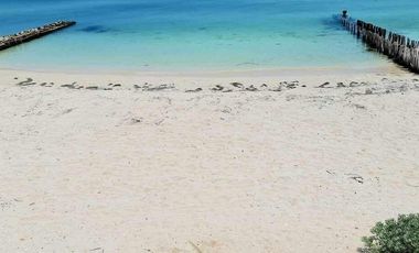 Casa en venta frente al mar Chuburná Puerto