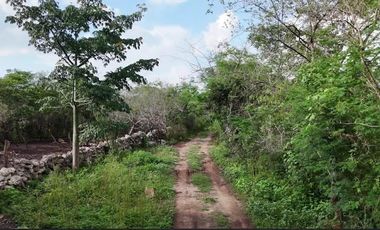 Terreno industrial en Acanceh