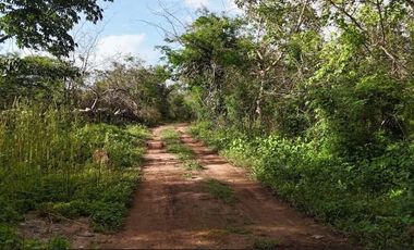 Terreno industrial en Acanceh