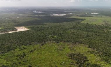 Terreno industrial en Acanceh