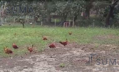 Terreno en Venta en Calle Tabasco, Mata Redonda Veracruz