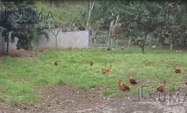 Terreno en Venta en Calle Tabasco, Mata Redonda Veracruz