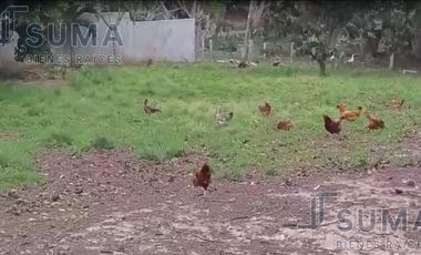 Terreno en Venta en Calle Tabasco, Mata Redonda Veracruz